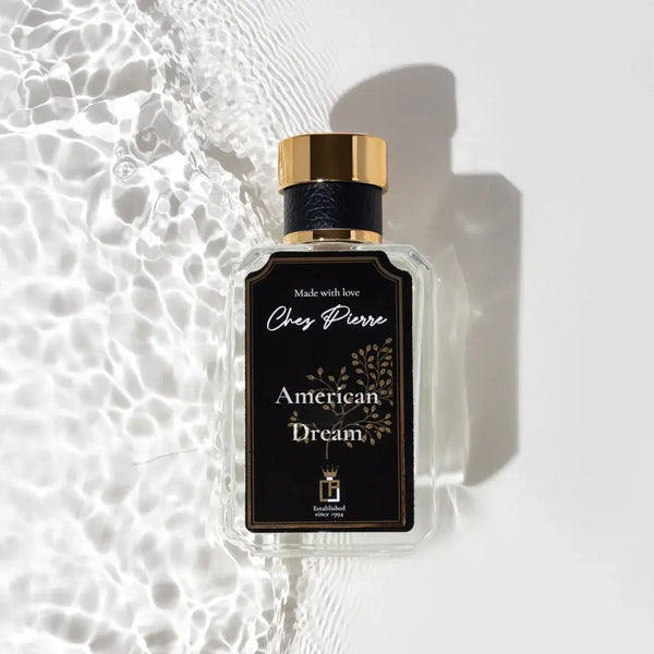 Louis Vuitton California Dream Dupe | American Dream – Chez Pierre
